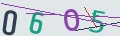verifycode